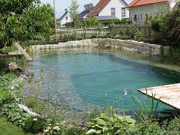 Schwimmteich In Neuburg An Der Donau Mielke S Naturbadeteich In 2020 Schwimmteich Naturschwimmbecken Teich