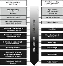 Moca makes use of phylop/phastcons/gerp scores to assess the quality of a motif, the hypothesis being a 'true motif' would evolve slower as compared to its surrounding(flanking sequences). Montreal Cognitive Assessment Moca Concept And Clinical Review Springerlink