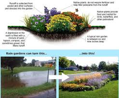 Roak Residential Rain Garden Resources Program Rain Garden Rain Garden Design Plants