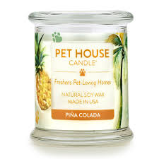 Candles also bring a creative and vibrant quality of energy to any space—their glow can fill a room with a passion for the it's important to know where to add them freely and where to use them sparingly, if at all. Buy Pet House Candle In 15 Fragrances All Natural Soy Wax Candle And Pet Odor Eliminator Eco Friendly Non Toxic Paraffin Free 60 70 Hour Burn Time Evergreen Forest In Cheap Price On