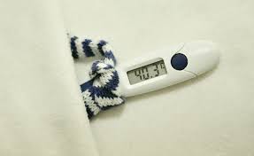 What Is Basal Body Temperature Charting How It Can Help
