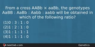 Aabb е) p:aabb x aabb g: From A Cross Aabb Aabb The Genotypes Aabb Aabb Aabb Aabb Neetlab