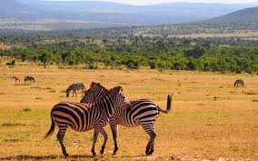 Burkina faso is the hottest country in the world. Top 5 Most Beautiful Countries Of Africa