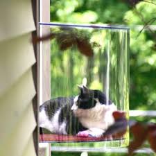 It's important for cats to have a varied life to. Cat Window Boxes The Man Caves She Sheds Of Cats Windowbox Com Blog
