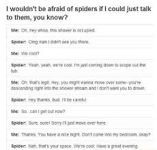 Pin By Mackenzie Deleon On Spiders Funny Tumblr Funny Funny Pictures