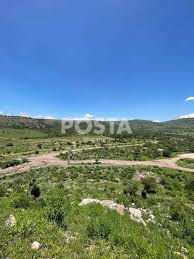 En este lugar de Durango puedes apreciar el Cometa del Siglo - POSTA México