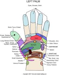 Hand Reflexology Chart