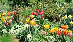 Spring Garden | One Writer's Way