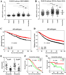 A And B Metabric Breast Cancer Datasets 21 22 And Tcga Breast Download Scientific Diagram