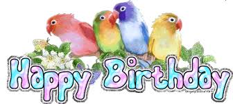 Bird Bird Bird Is The Word Gif Https Encrypted Tbn0 Gstatic Com Images Q Tbn 3aand9gctdysp2il4bzb9ex88jj8ykrrid5 D8k7dp W Usqp Cau