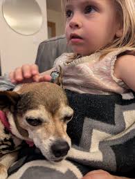 Pilar Frosted Fling, things she enjoys: 💜 supervising us installing floors  💜 “babysitting” our napping son 💜 helping unload the dishwasher 💜 going 