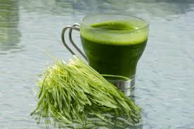 I hope one of the experts on this site can look more into it. How Wheatgrass Helps Preventing Gray Hair Endhairloss Eu