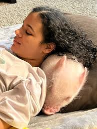 Hammer and pajama cardinal interaction