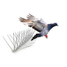 How to keep birds away from chimney if the first scenario fits your situation, it's necessary to act fast by taking preventive measures to keep out birds. Bird X 10 Ft Original Stainless Steel Bird Spikes Pigeons Starling Blackbirds Seagulls 6 In Coverage Sts 10 The Home Depot
