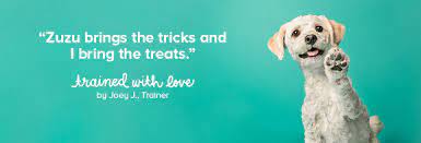 Learn dog training online at your own pace. Dog Training Puppy And Adult Dog Training Classes Petsmart