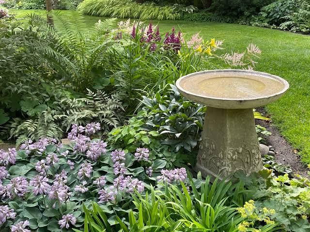 Bird bath and statement plant