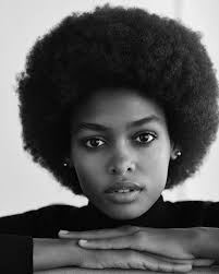 Portraitsbytracylynne Com Natural Hair Styles Black Beauties Afro Hairstyles