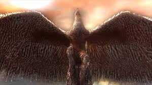 Find real phoenix bird small image, wallpaper and background. Phoenix Reborn From Ashes Youtube