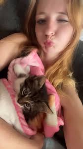 Hi does anyone have any ideas of what breed this baby could be?