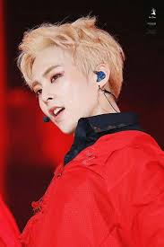 The group originally had 4 members, and yeri, who is the 5 th member, joined the in march, 2015. Xiumin Red Carpet Exo ì—'ì†Œ Amino