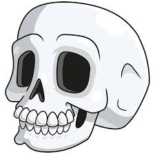 This is where the nose and sinuses once were. How To Draw A Cartoon Skull Really Easy Drawing Tutorial