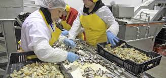 Maybe you would like to learn more about one of these? Biobio Cierra 2020 Con 3 481 Postulaciones De Empresas A Subsidio Para El Empleo