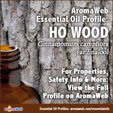 Ho Wood Essential Oil Profile Essential Oil Uses Essential Oil Profiles Essential Oils