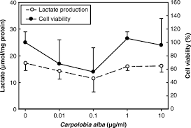 Image result for Carpolobia alba
