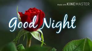 I know i will miss all your hugs, cuddles and sweet kisses tonight because cruel distance has kept me so far away from you. Good Night Good Night Video With Flower Good Night Best Background Music Good Night Status Video Youtube