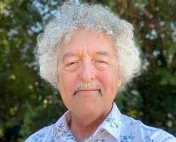 Tweed Shire Council: summary of candidates