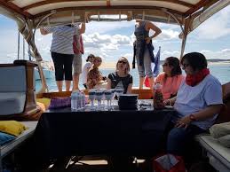 Promenade En Bateau Pour Aller A L Ile Aux Oiseaux Andernos Croisiere Jouvence