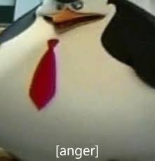 Penguins of madagascar private gif penguinsofmadagascar private whatwouldskipperdo. Penguins Of Madagascar Meme Templates