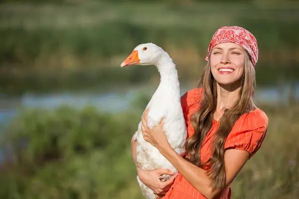 Gęś dziewczyna fotografie, zdjęcia stockowe, obrazy bez tantiem | DepositPhotos