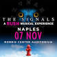 The Signals a RUSH tribute musical experience