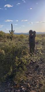 Where is cactus, arizona located on the world map. Kissing Cactus In Southern Arizona Pics
