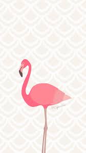 Fond D Ecran Flamant Rose Fond D Ecran Flamant Fond D Ecran Telephone Fond D Ecran Iphone Ete