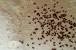 How To Get Rid Of Pantry Bugs