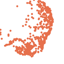 Image result for Ottelia fischeri