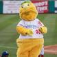 Catch a Home Game at BlueClaws Stadium! event image