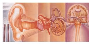 Sounds are still used in tinnitus management today. Tinnitus Piedmont Ear Nose And Throat