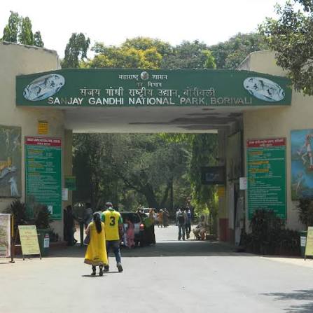 Sanjay Gandhi National Park: A Complete Guide | LBB, Mumbai