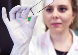 La délégation régionale CNRS Île-de-France Gif-sur-Yvette