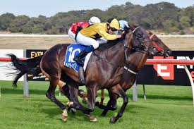 Winning treble for leading metro combination Adam Durrant and Chris Parnham  in Albany