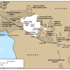 All you have to do was abstain from purchasing a cactus in the first place! Is A Map Displaying The Array Of Protected Areas In The Arizona Sonora Download Scientific Diagram