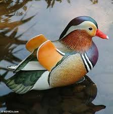 Wood Sculpture Mandarin Duck Mandarin Duck Wood Sculpture Duck Pictures
