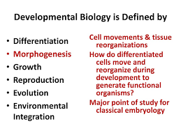 Lecture 1 History Of Embryology Ppt Download