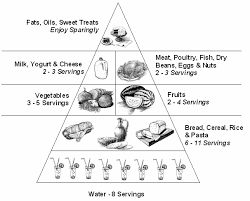 Select print at the top of the page, and the advertising and navigation at the top of the page will be ignored, or 2) click on the image in the bottom half of the screen to make that frame active. Food Guide Coloring Pages