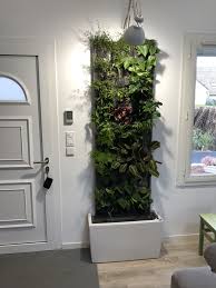 La Nature Dans L Entree De La Maison En 2020 Mur Vegetal Mur Vegetal Interieur Mur Vegetalise