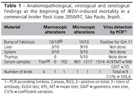 Infectious Bursal Disease Virus Case Report And