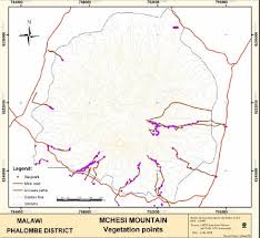 Image result for Dissotis longisepala